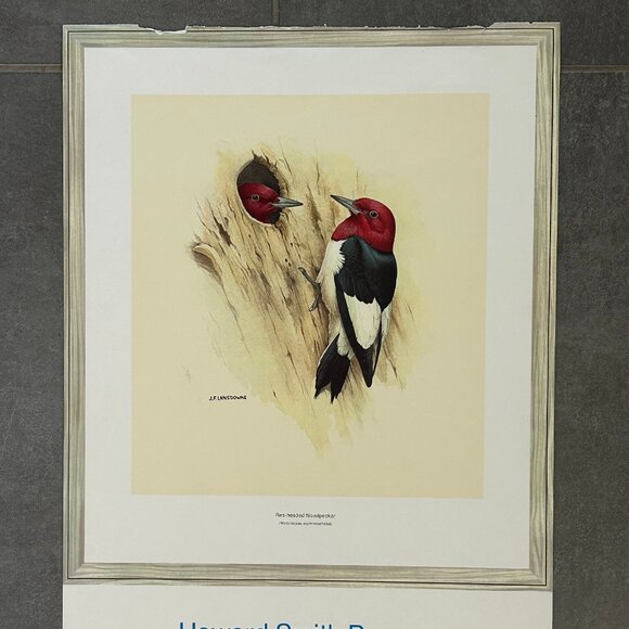 Vintage 1968 & 1969  Calendar Prints J.F. Lansdowne Birds - Picture 4 of 9
